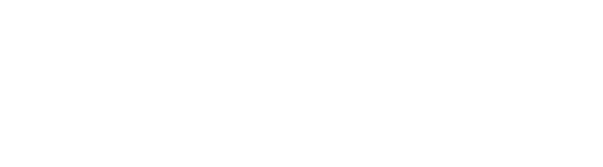 Endless Travel and Tours